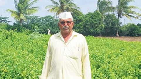 Birappa Waggi, a lemon farmer from Tamba village in Indi taluk, at his nursery.
