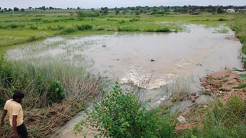 Singur project