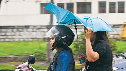 People ventured out during the rain in Vijayawada on Sunday.