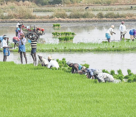 The main objective of these credit societies is to provide agricultural and non-agricultural loans to farmers who are enlisted as members.