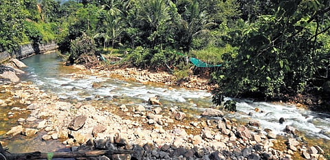 Vithura is an extremely scenic place, surrounded by verdant hills