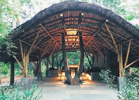 Kaav Safari Lodge