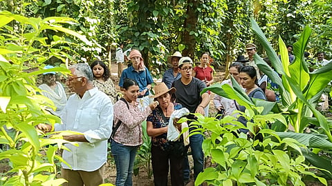 Andhra Pradesh Community Managed Natural Farming programme gains worldwide fame