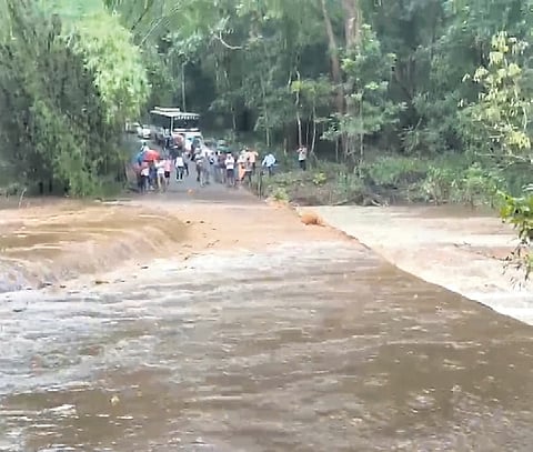 Two bodies of missing medicos were retrieved from Jalatarangini stream in Maredumilli on Monday