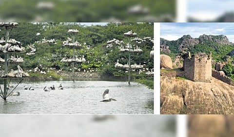 Uppalapadu Bird Sanctuary and Kondaveedu Fort in undivided Guntur district