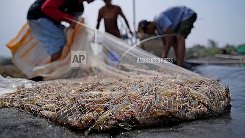 India exported 19,72,018 tonnes of seafood worth Rs 73,890.46 crore ($8.45 billion) in 2025-26. Andhra Pradesh contributed 4,09,274 tonnes worth Rs 23,765.11 crore ($2.72 billion).