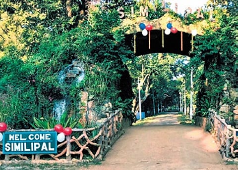 Similipal to reopen from October 10