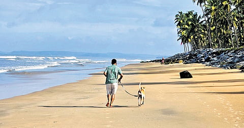beach