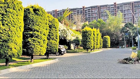 SC tells builder to pay buyer Rs 6.8 crore