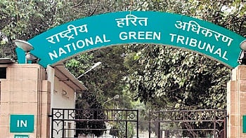 NGT takes suo motu action after deadly firecracker factory blast in UP's Bareilly