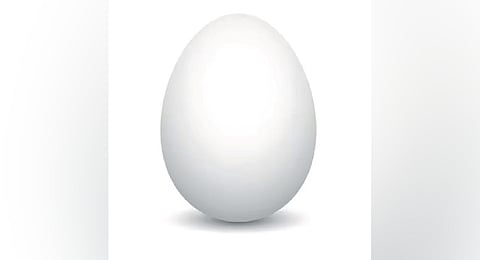 Egg-o-mania