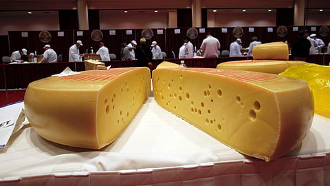 Cheese