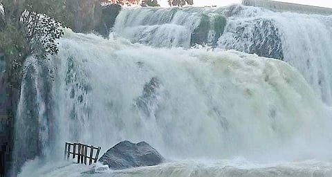 After heavy rain, water gushes out at Tirparappu Falls at Kanniyakumari