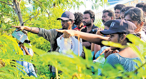 Kumaresan Chandrabose explains that each butterfly species has its own host plants – specific plants essential for their caterpillars to feed on.