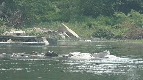 Pictures of the Kumaran Canal near the Thenpennai river.