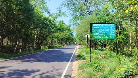 The Nallamala Forest