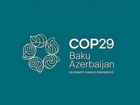 COP29 Representative Image
