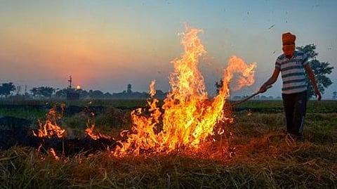 Image of a farmer burning stubble.