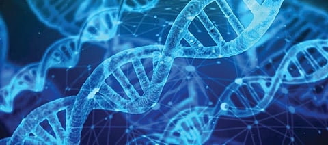 Save those telomeres