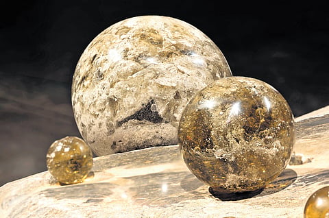 The Elemental You exhibition in Saket, Delhi