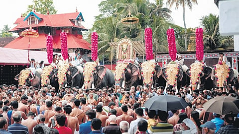 Will religious practices crumble if
elephants aren’t paraded, asks Kerala HC