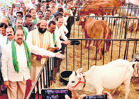 Ministers Uttam Kumar Reddy and Thummala Nageswara Rao review arrangements being made for ‘Rythu Pandanga’ in Mahbubnagar on Friday