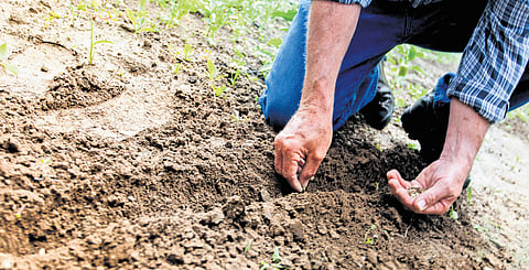 Soil vs you