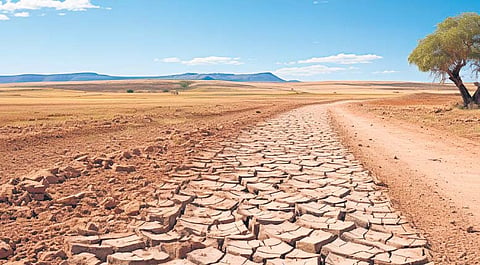 Earth on edge: 1.5 billion hectares of land degraded globally