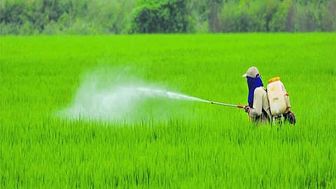 Farmers hope for interest-free loans, reforms in agri sector