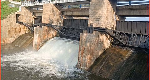 Chinnar dam.
