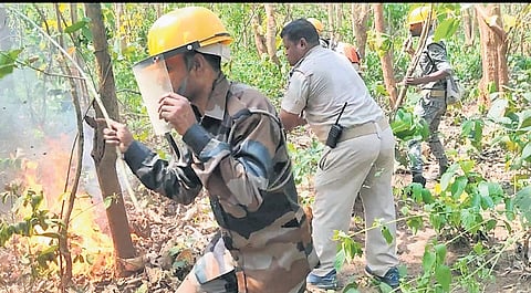 File photo of a forest
fire in Similipal