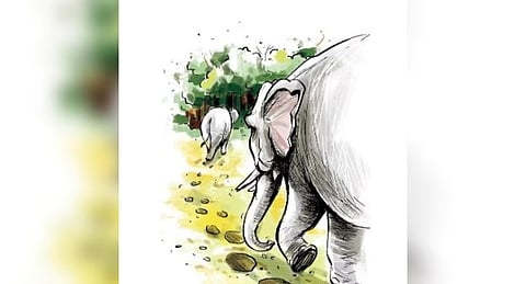 Image used for representational purposes only