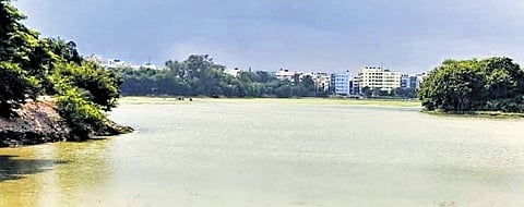 Doddanekundi Lake after it was rejuvenated