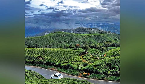 People associated with the tourism industry hope the mercury in Munnar drops to a sub-zero level within a week, which would further drive up footfall.