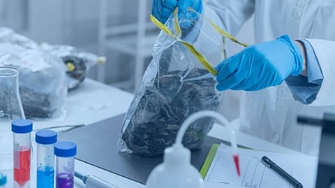 biomedical waste