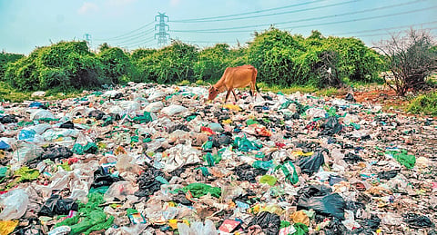 Biomedical and plastic waste image used for representative purpose.