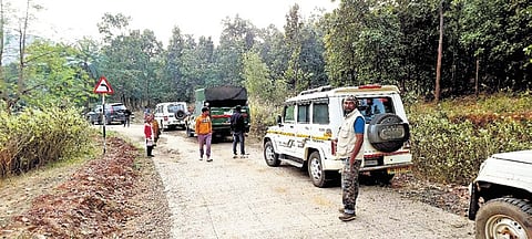 Officials engaged in tracking the movement of tigress Zeenat