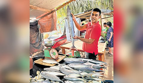 The Rathgama Wella Fish Market