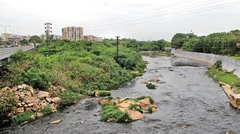 Musi River