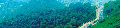 The second edition of the Wayanad Lit Fest.