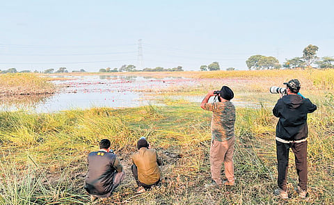 Birders recording bird species around Indore during Bird Watch 2024.