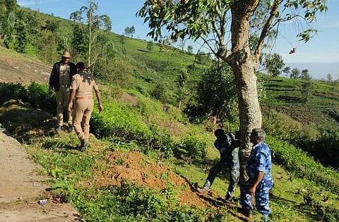 Kundha forest range officials have fixed six camera traps to trap a sloth bear at Sathyamurthy Nagar on Saturday evening.