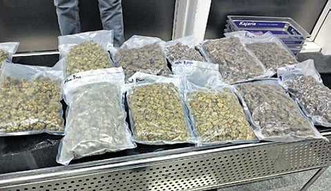 The marijuana packets seized from the accused