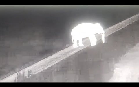 A wild elephant is crossing the railway track at Madukkarai forest range. A picture sourced from one of the AI cameras video