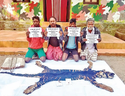 The four accused with the skin and other body parts of the melanistic tiger