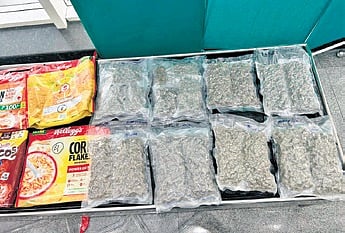 Hydroponic weed seized at city airport