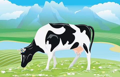 Image used for representational purposes only