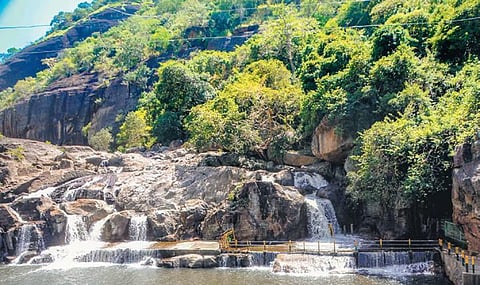 Manimuthar falls.