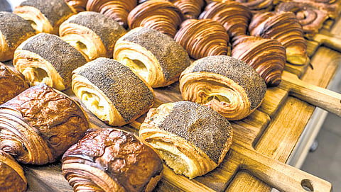 Cinnamon snails