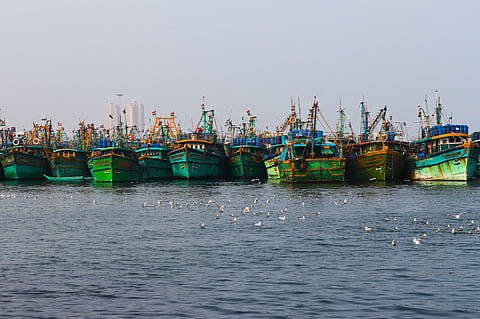 Mechanized boats from Karaikal fishing harbour